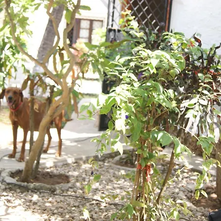 Luciano & Grace Apartments Watamu Exterior photo