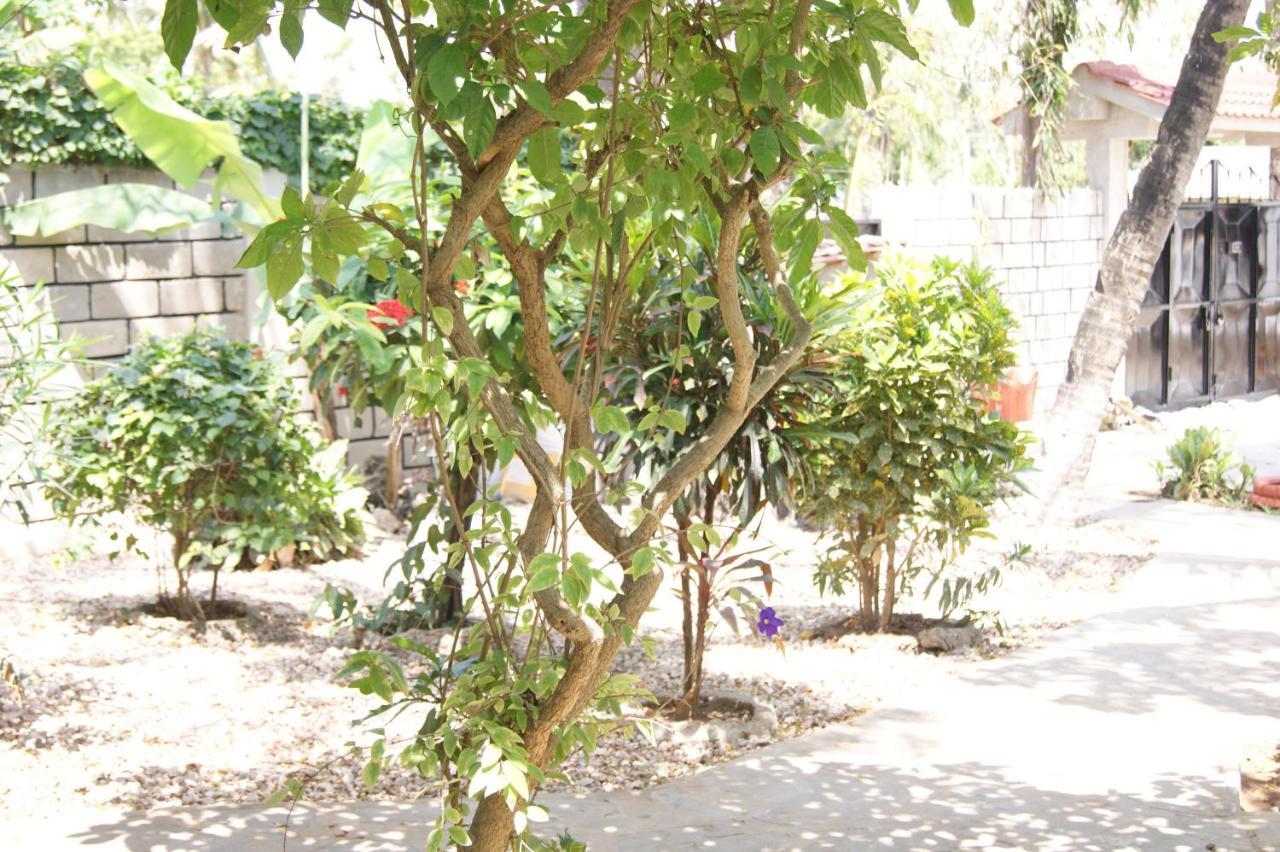 Luciano & Grace Apartment Watamu